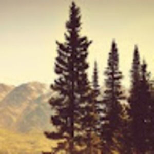 Meet your Posher, Laurie